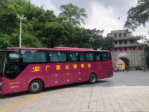 中國南寧 越南河內的國際直達客運班線恢復每日發班運輸模式
