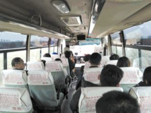 山東日照春節期間社會穩定生產有序市場繁榮