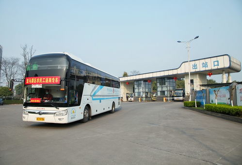 瀘州交通抓實抓細 冬安行動 ,確保今年工作 開門紅 十四五 開好局