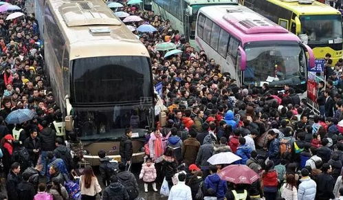 回家 6大客運站開賣春運前汽車票