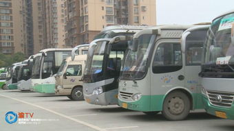 墊江 公路客運迎來春運返鄉客流高峰 多措施保障旅客安全出行