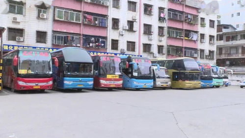春節(jié)假期 龍川道路運(yùn)輸整體狀況安全平穩(wěn)