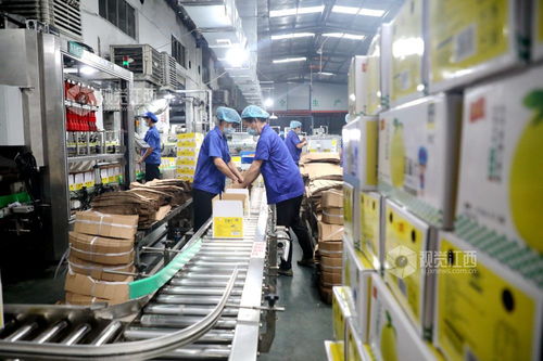 峽江 食品企業 產銷兩旺 圖