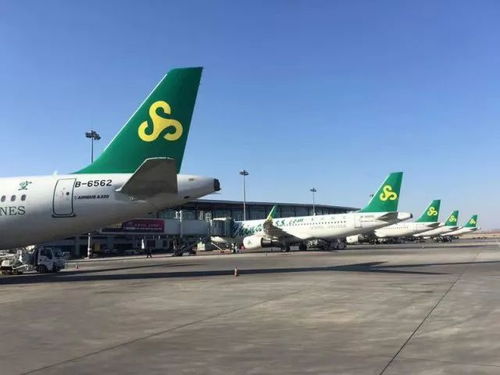 出行 春運熱門機票價格一路飆升 石家莊 三亞明年 1 月 21 日后機票漲至全價