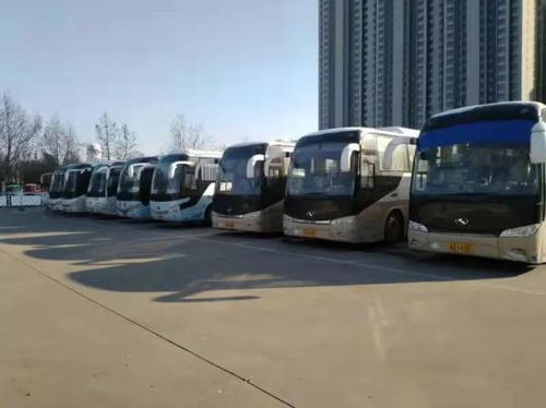 最新發布 石家莊公路樞紐五大客運站發布2022年春節期間運力安排