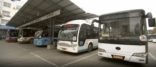 道路客運量10.8萬人次 市公航運中心圓滿完成市區(qū)道路旅客運輸服務(wù)保障工作