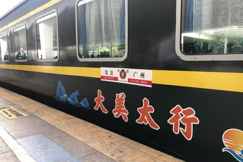 陳瑩點(diǎn)贊2019幸福列車(chē)公益行動(dòng)