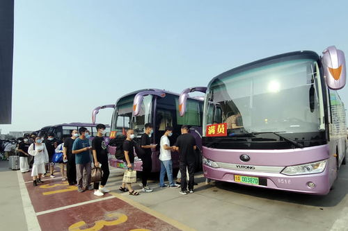 鄭州各汽車站端午小長假累計(jì)發(fā)送旅客22萬人次,繼續(xù)下降