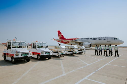 櫻桃荔枝成 旅客 深航啟動 客改貨 航班