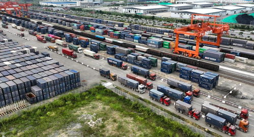 東博會助力西部陸海新通道跑出 加速度