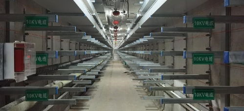 匠心筑精品 閃耀十四運會